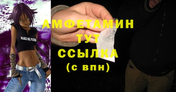 ПСИЛОЦИБИНОВЫЕ ГРИБЫ Вязники