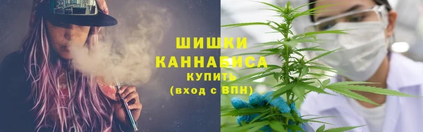 дмт Вяземский