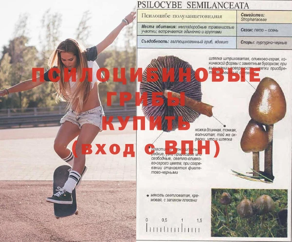 кокаин перу Вязьма