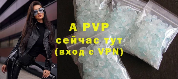 ПСИЛОЦИБИНОВЫЕ ГРИБЫ Вязники