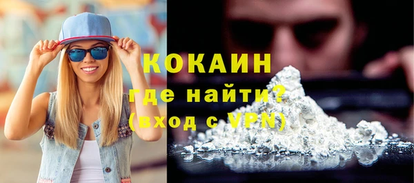 ПСИЛОЦИБИНОВЫЕ ГРИБЫ Вязники
